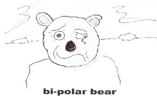 ANIMAL ANTICS: Bi-polar Bear